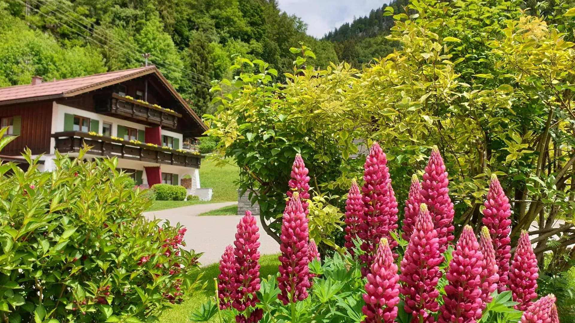 Apartment Gschwenderhaus Ferienwohnungen Oberstdorf Deutschland